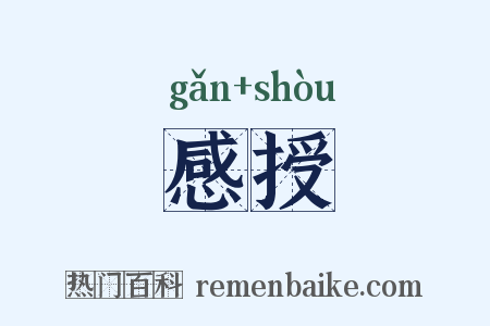 感授是什么意思的图片